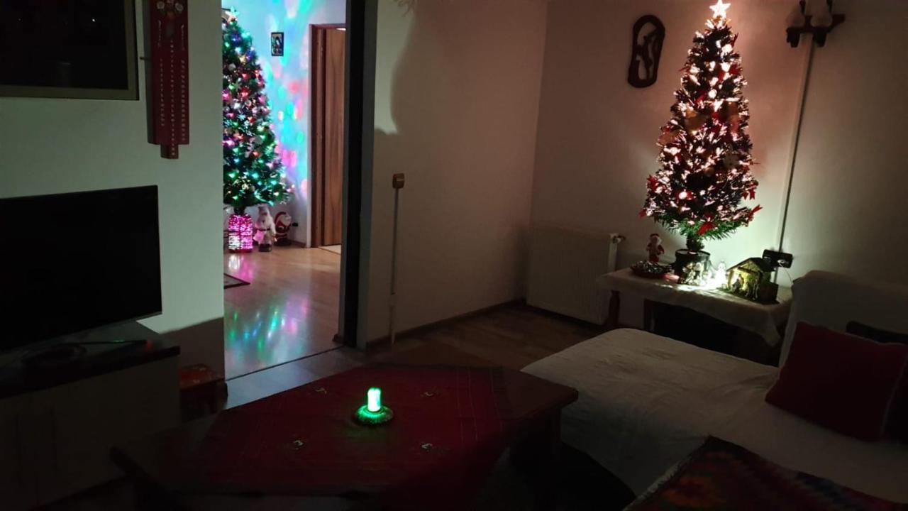 Casa Nicoladis Apartment Zărneşti Bagian luar foto