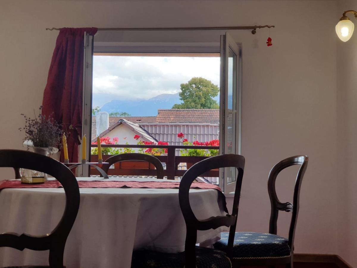 Casa Nicoladis Apartment Zărneşti Bagian luar foto