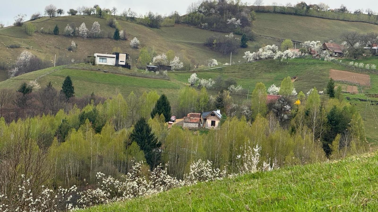 Casa Nicoladis Apartment Zărneşti Bagian luar foto