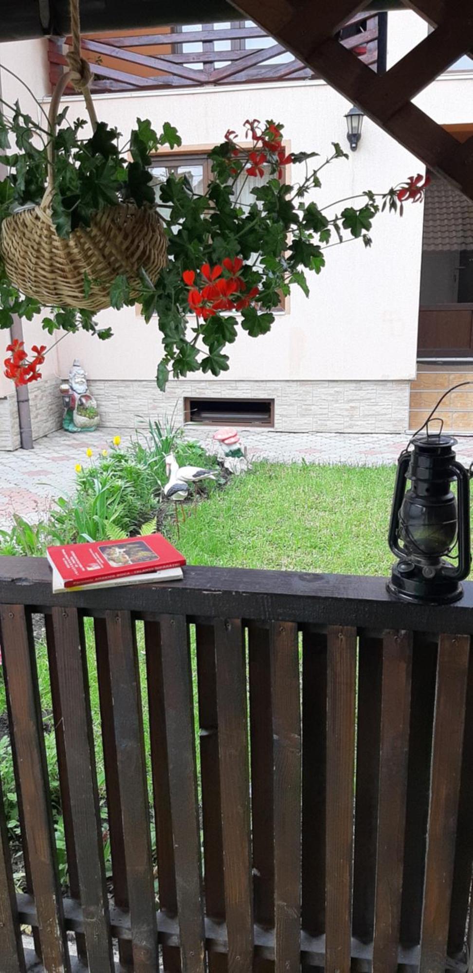 Casa Nicoladis Apartment Zărneşti Ruang foto