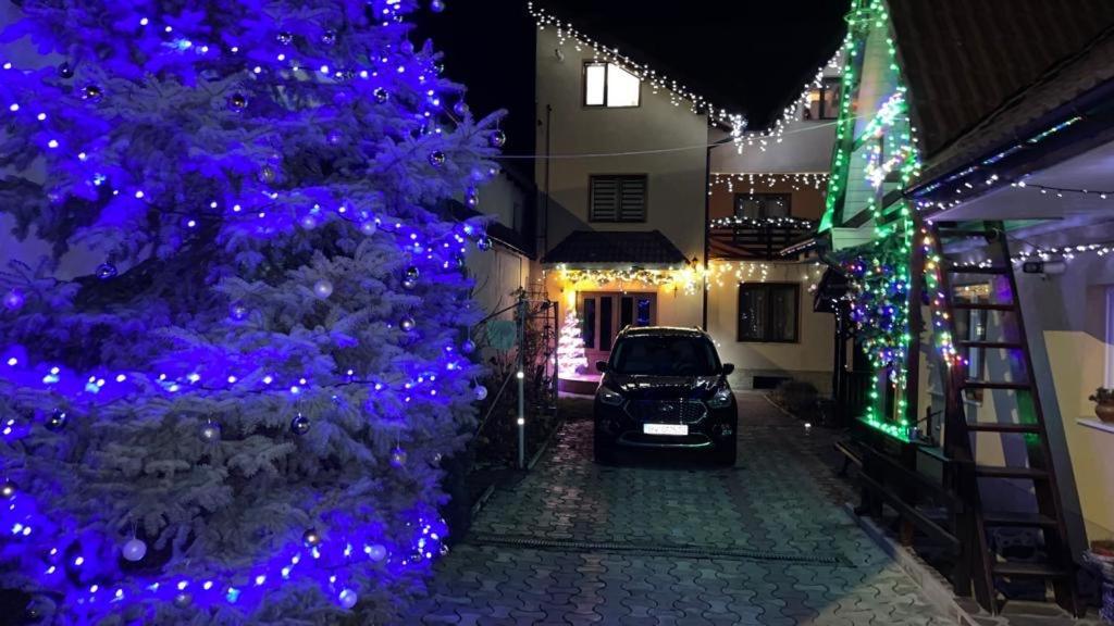 Casa Nicoladis Apartment Zărneşti Bagian luar foto