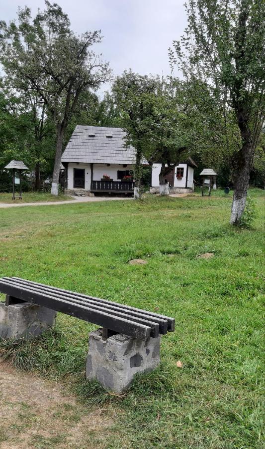 Casa Nicoladis Apartment Zărneşti Bagian luar foto
