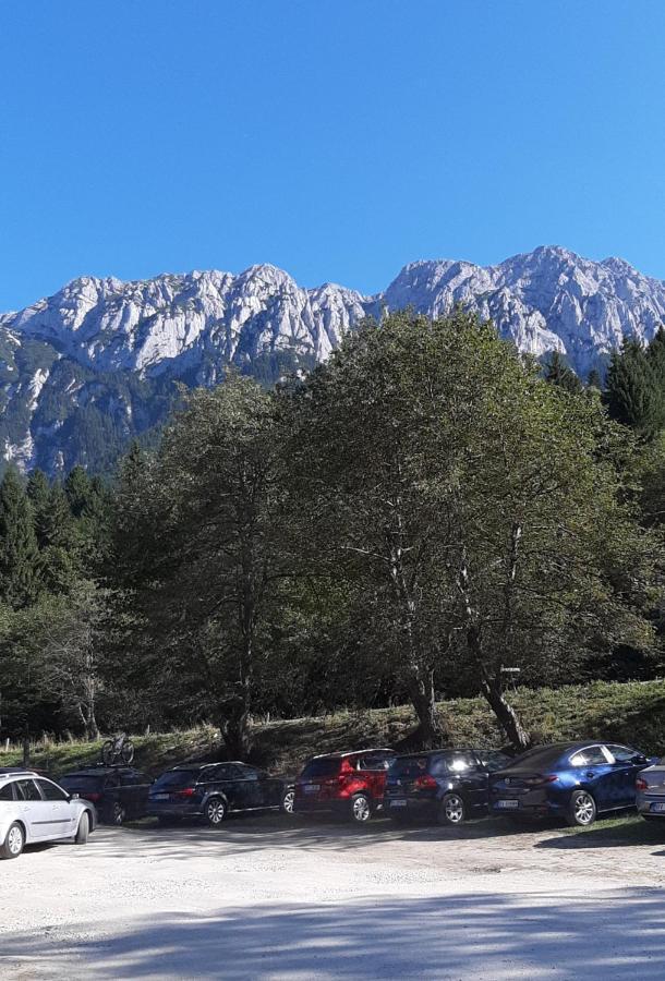 Casa Nicoladis Apartment Zărneşti Bagian luar foto